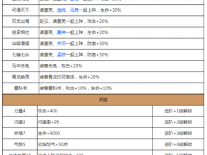 放开那国2武将重复应对策略：解决武将重复的实用方法推荐