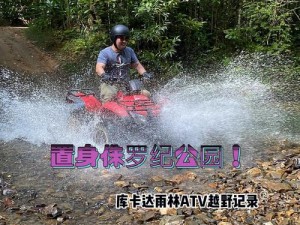 花儿 6968ATV 被分割，优质 ATV 播放器，功能强大，使用方便