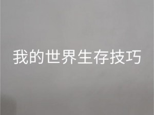 我的世界前期生存宝典：轻松掌握生存技巧，勇闯冒险世界