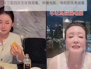 国产一区二区三区四区五在线观看，热播电影、电视剧免费观看，无广告，无病毒