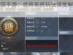 揭秘你好国手游：武将系统玩法深度解析与心得共享