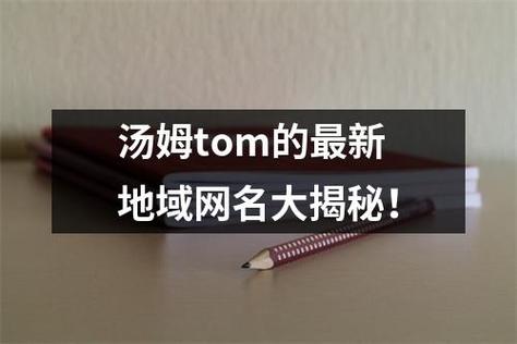 tom 汤姆叔叔最新地域网名是一款可以帮助用户自由切换地理位置的软件，为用户提供更多的便利