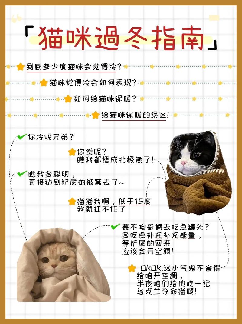 猫咪农场安装指南：从配置到运行全攻略