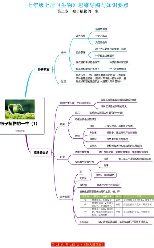 口袋植物资源获取秘籍详解：从种植到利用的全攻略指南