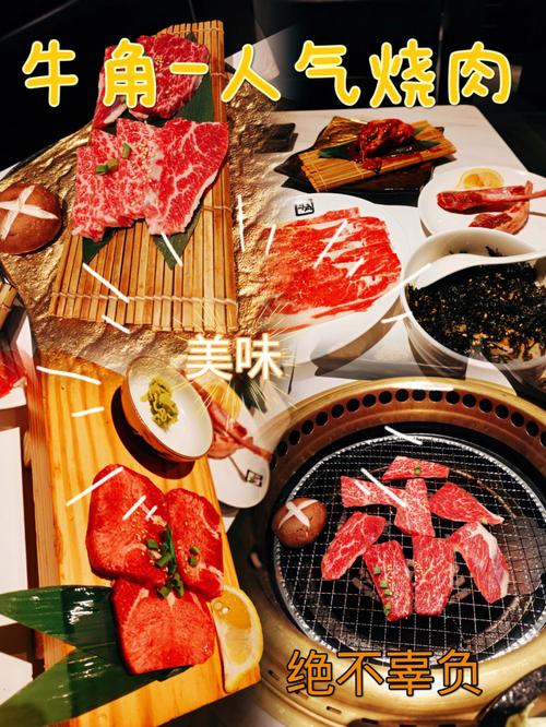 日本进口 XXX 品牌优质肥肉，传统工艺制作，口感鲜美，肥而不腻，是您烹饪的理想选择