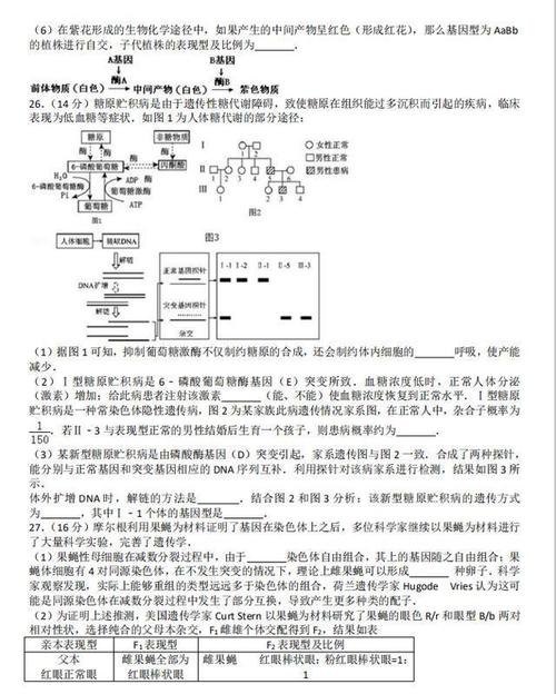 奥拉星手游妙手丹青全答案览：详细解析与汇总集锦