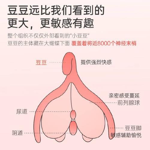 娜娜羞辱榨精挑战：体验极致快感的私密玩具