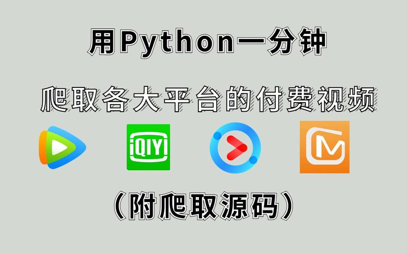 一款拥有 Python 免费看电影源码的产品