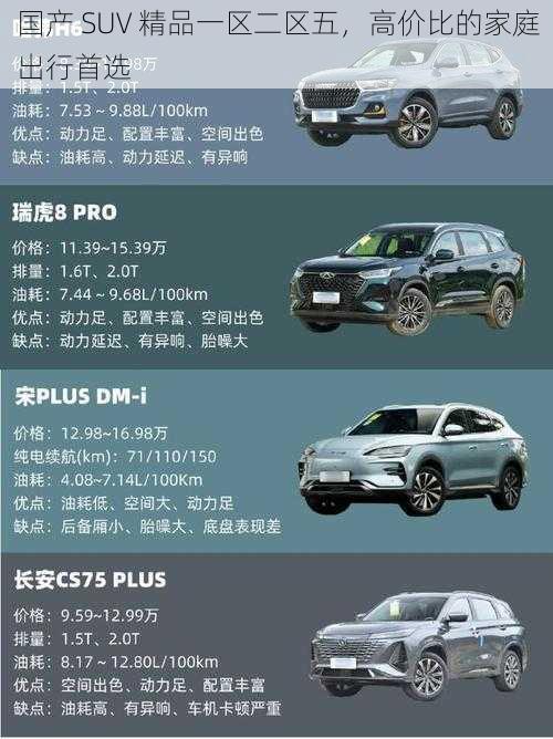 国产 SUV 精品一区二区五，高价比的家庭出行首选