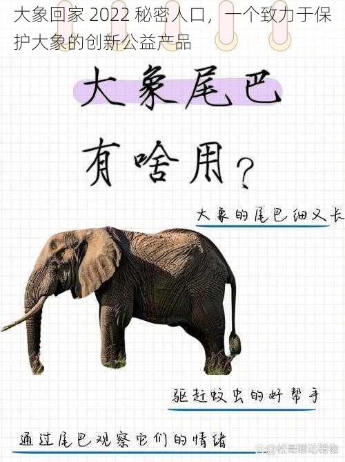 大象回家 2022 秘密人口，一个致力于保护大象的创新公益产品