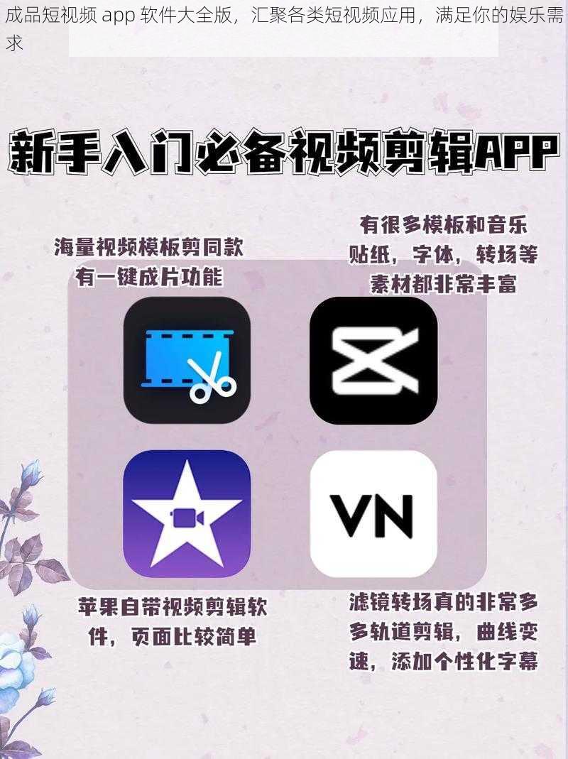 成品短视频 app 软件大全版，汇聚各类短视频应用，满足你的娱乐需求