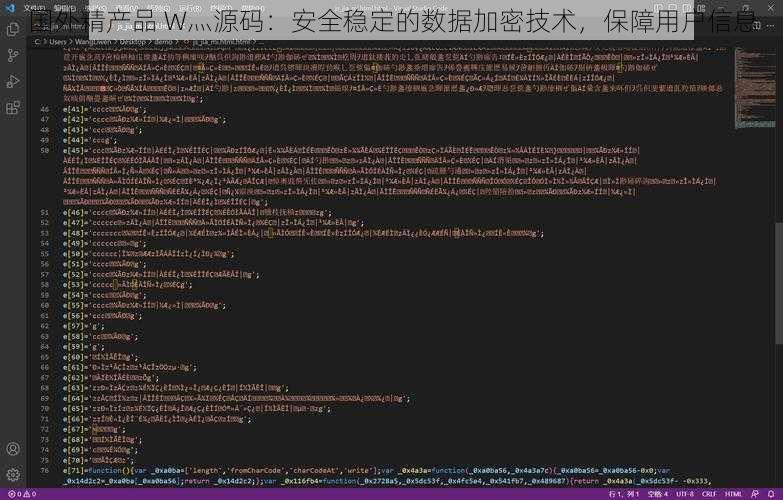 国外精产品 W灬源码：安全稳定的数据加密技术，保障用户信息