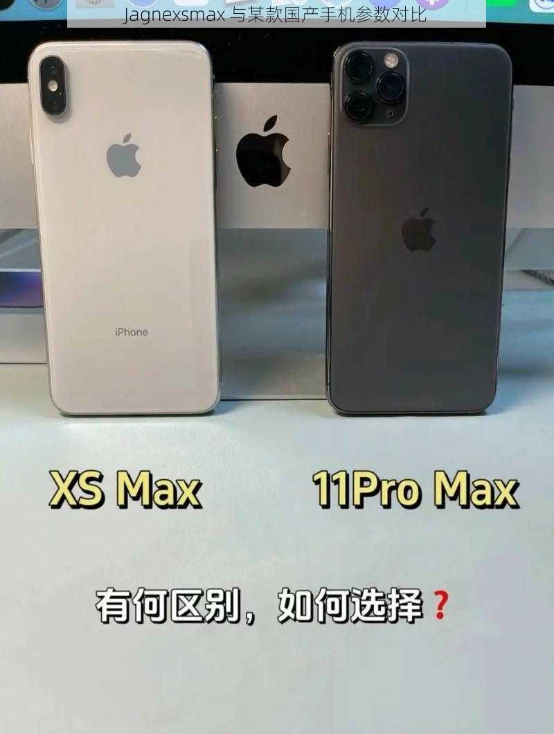 Jagnexsmax 与某款国产手机参数对比