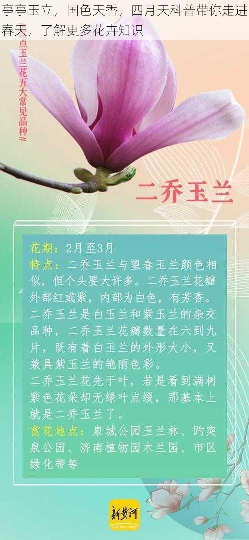 亭亭玉立，国色天香，四月天科普带你走进春天，了解更多花卉知识