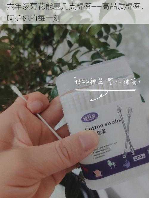 六年级菊花能塞几支棉签——高品质棉签，呵护你的每一刻