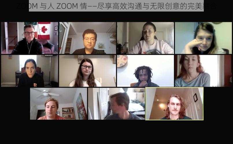 ZOOM 与人 ZOOM 情——尽享高效沟通与无限创意的完美融合