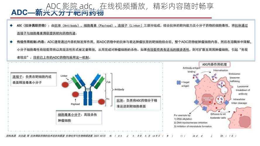 ADC 影院 adc，在线视频播放，精彩内容随时畅享