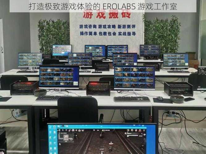 打造极致游戏体验的 EROLABS 游戏工作室