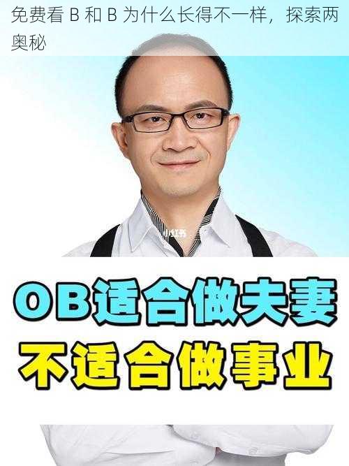 免费看 B 和 B 为什么长得不一样，探索两奥秘