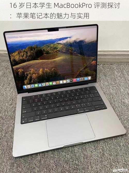 16 岁日本学生 MacBookPro 评测探讨：苹果笔记本的魅力与实用