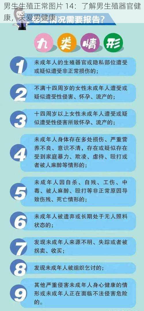 男生生殖正常图片 14：了解男生殖器官健康，关爱男健康