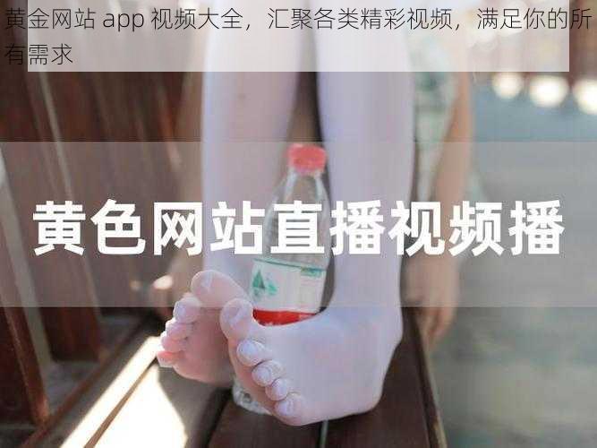 黄金网站 app 视频大全，汇聚各类精彩视频，满足你的所有需求