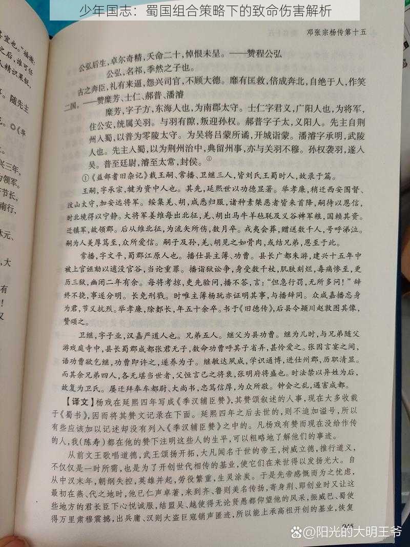 少年国志：蜀国组合策略下的致命伤害解析