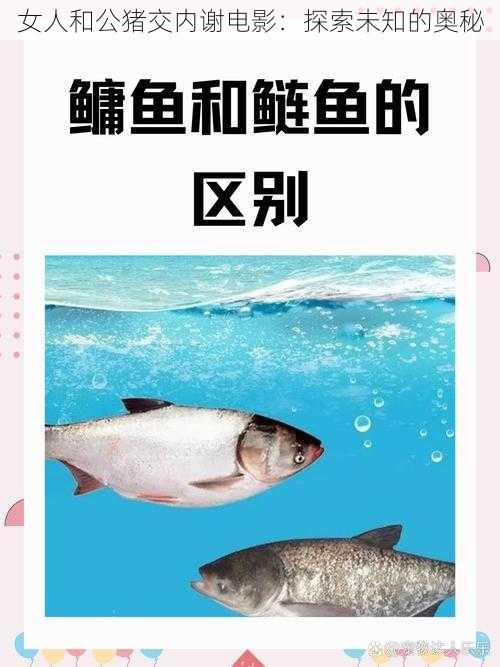 女人和公猪交内谢电影：探索未知的奥秘