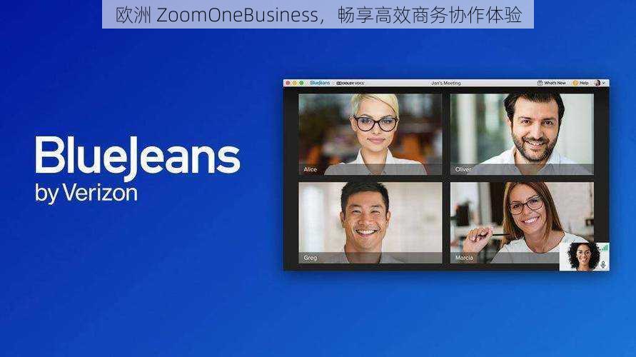 欧洲 ZoomOneBusiness，畅享高效商务协作体验