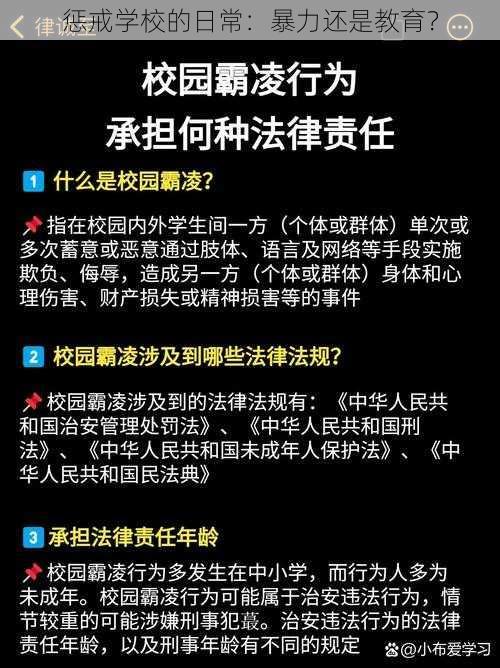 惩戒学校的日常：暴力还是教育？