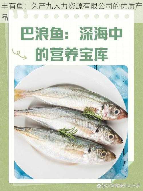 丰有鱼：久产九人力资源有限公司的优质产品