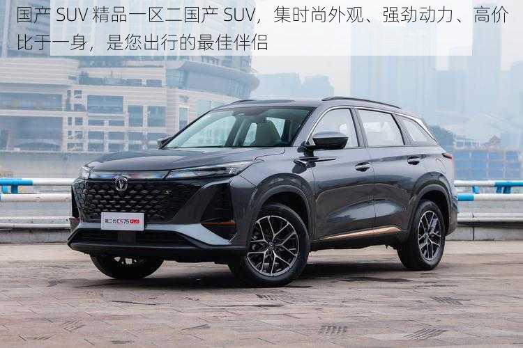 国产 SUV 精品一区二国产 SUV，集时尚外观、强劲动力、高价比于一身，是您出行的最佳伴侣