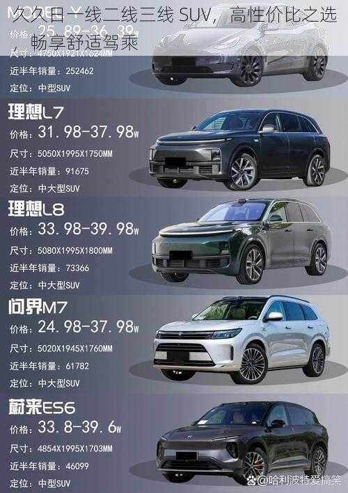 久久日一线二线三线 SUV，高性价比之选，畅享舒适驾乘