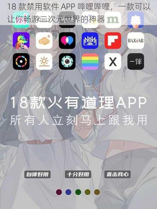 18 款禁用软件 APP 哔哩哔哩，一款可以让你畅游二次元世界的神器