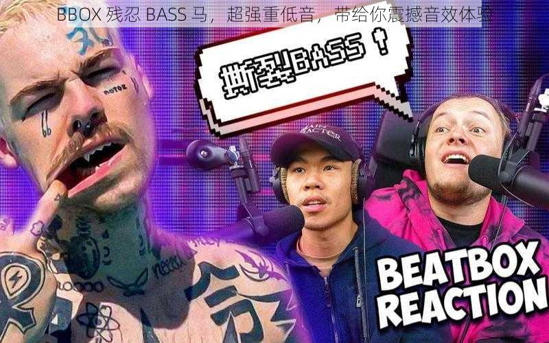 BBOX 残忍 BASS 马，超强重低音，带给你震撼音效体验