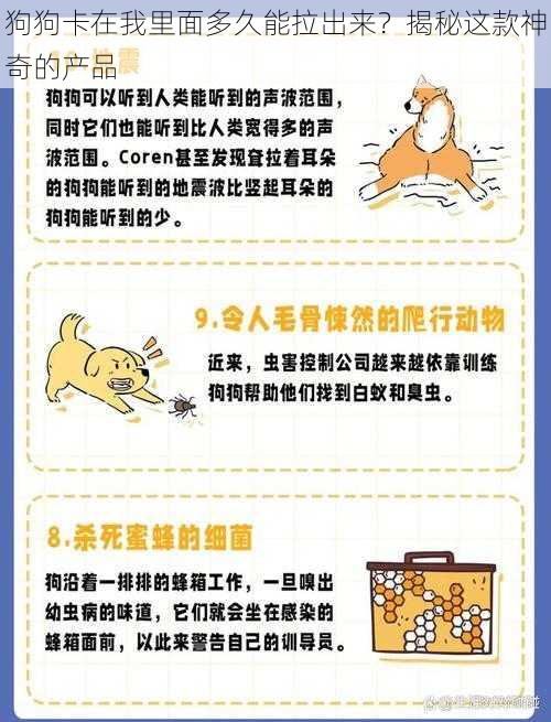 狗狗卡在我里面多久能拉出来？揭秘这款神奇的产品