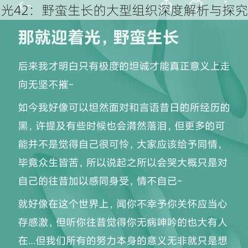 光42：野蛮生长的大型组织深度解析与探究