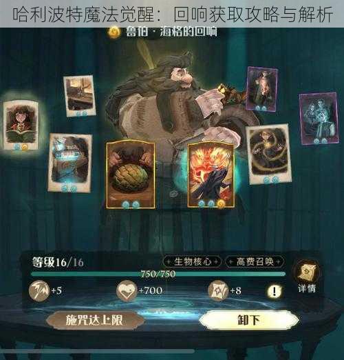 哈利波特魔法觉醒：回响获取攻略与解析