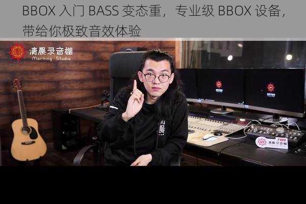 BBOX 入门 BASS 变态重，专业级 BBOX 设备，带给你极致音效体验