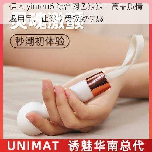 伊人 yinren6 综合网色狠狠：高品质情趣用品，让你享受极致快感