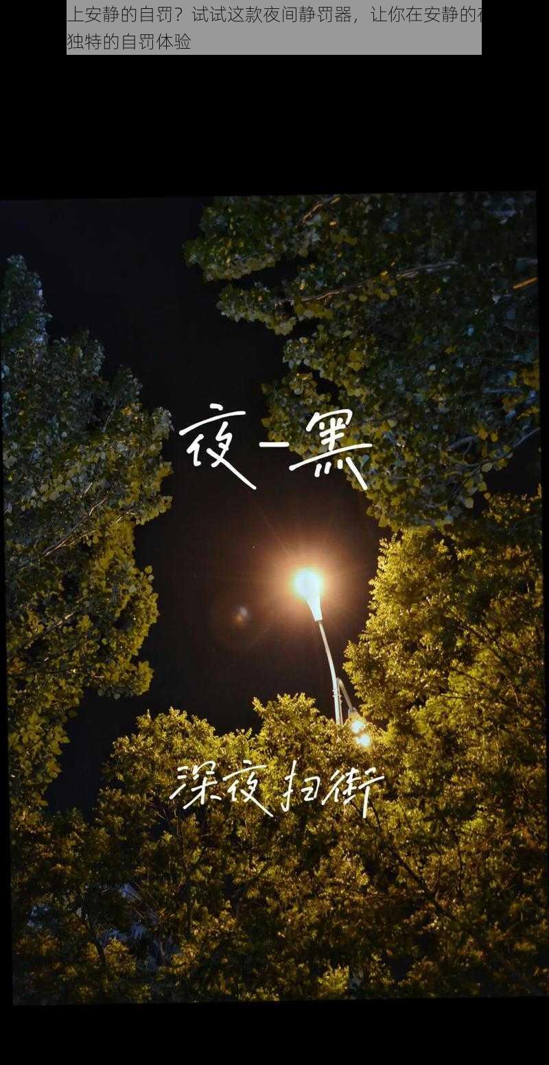 如何晚上安静的自罚？试试这款夜间静罚器，让你在安静的夜晚中，享受到独特的自罚体验