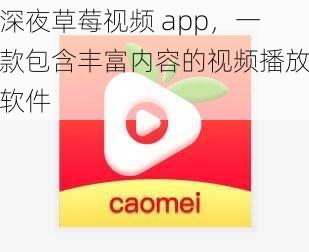 深夜草莓视频 app，一款包含丰富内容的视频播放软件