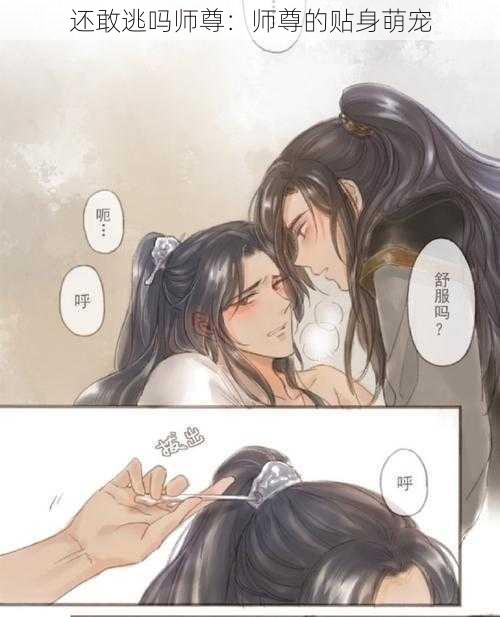 还敢逃吗师尊：师尊的贴身萌宠