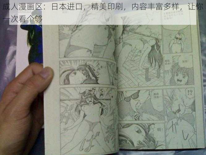 成人漫画区：日本进口，精美印刷，内容丰富多样，让你一次看个够