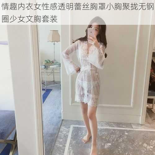 情趣内衣女性感透明蕾丝胸罩小胸聚拢无钢圈少女文胸套装