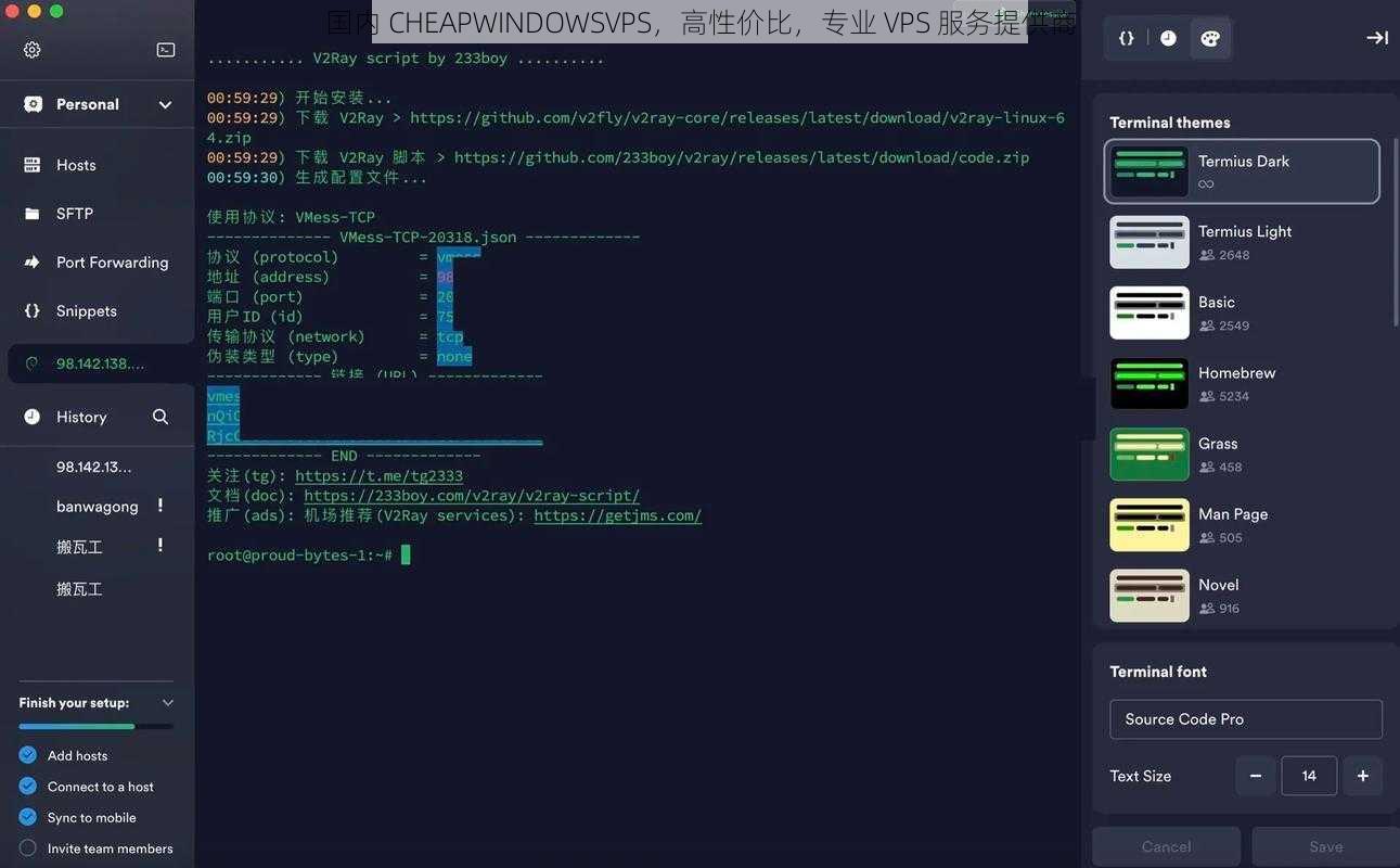 国内 CHEAPWINDOWSVPS，高性价比，专业 VPS 服务提供商