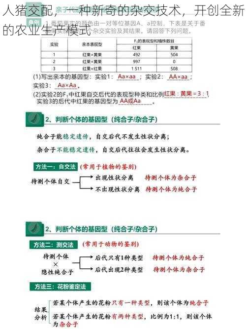 人猪交配，一种新奇的杂交技术，开创全新的农业生产模式