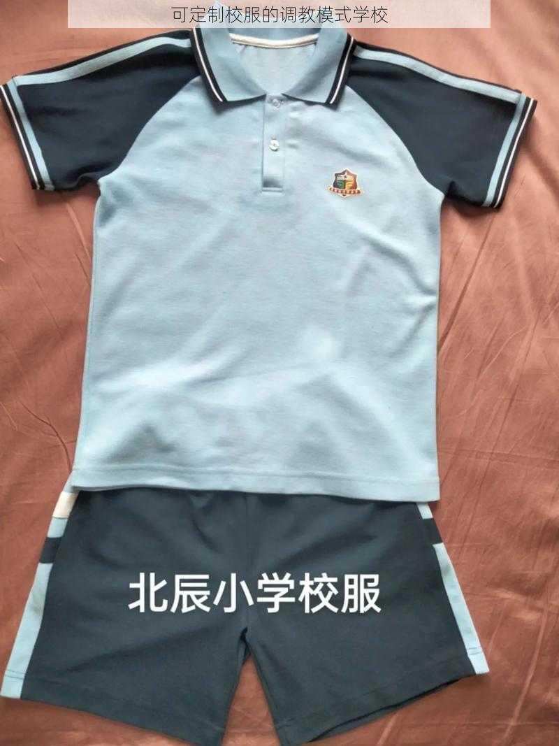 可定制校服的调教模式学校