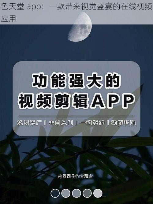 色天堂 app：一款带来视觉盛宴的在线视频应用