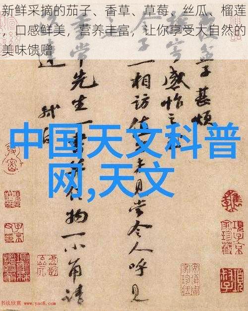 新鲜采摘的茄子、香草、草莓、丝瓜、榴莲，口感鲜美，营养丰富，让你享受大自然的美味馈赠